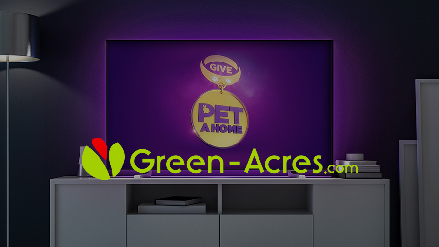 Green Acres sur la télévision anglaise avec ComNext