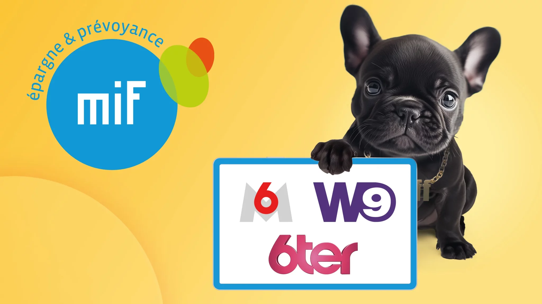 MIF passe à la télé avec Comnext